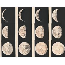 A complete set of lithographs the 12 Stages of the Moon.