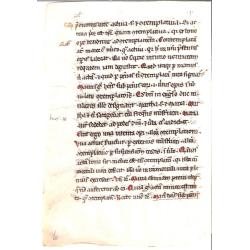 The Homilies 