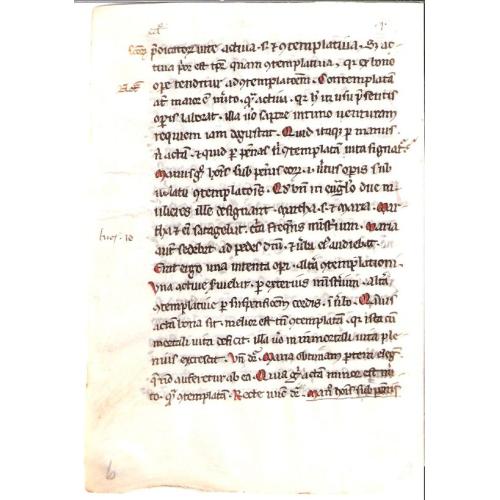 The Homilies 