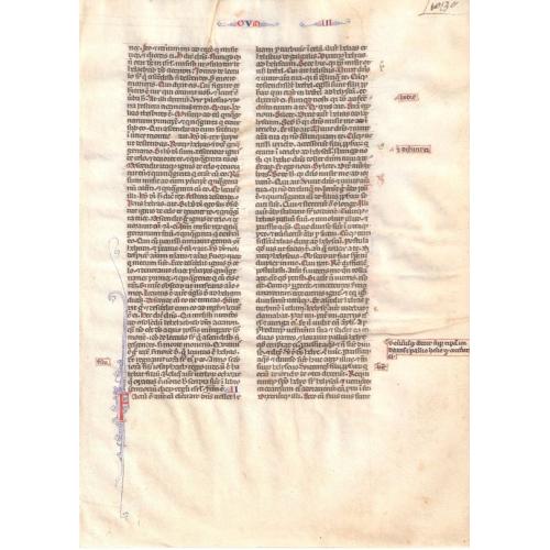 Bible Leaf