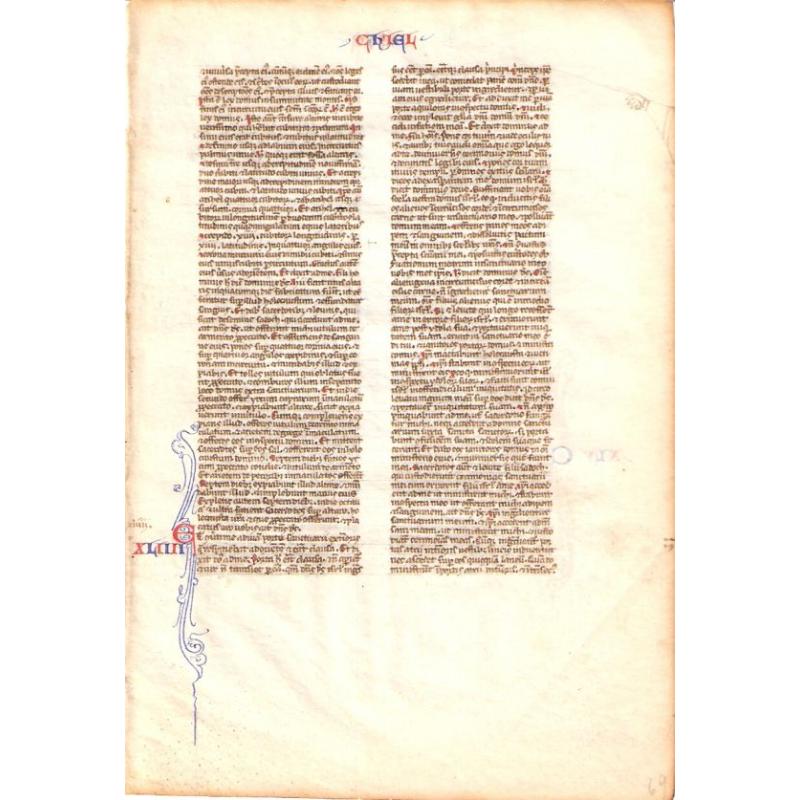 Bible Leaf