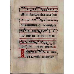 Spanish Gradual