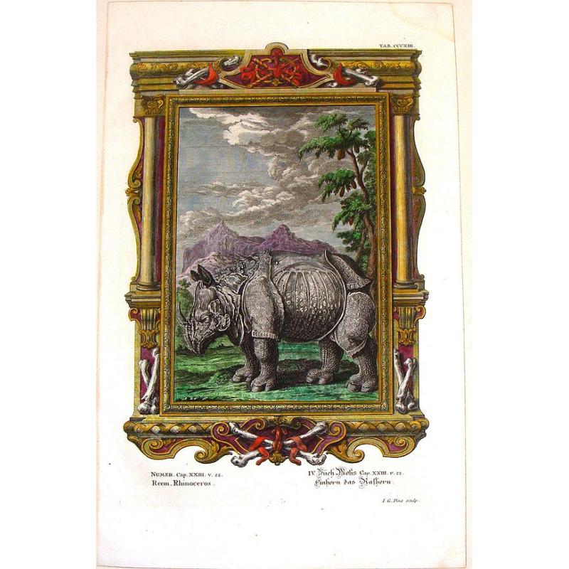 Reem, Rhinoceros.