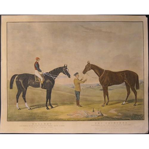 Old map image download for Orlando, 1844 winner of the derby stakes at Epsom...../ The princess, 1844 winner of the oaks stakes at Epsom....