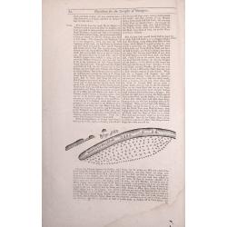 Two double sided pages No's 61 & 62 Directions for the Streights of Singapore. 63 & 64 Directions for the Old Streights of Singapore & Instructions for Sailing from Pulo Tingay to Siam. 