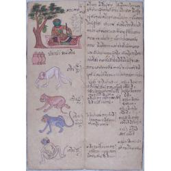 (Thai manuscript describing the signs of the Zodiac)