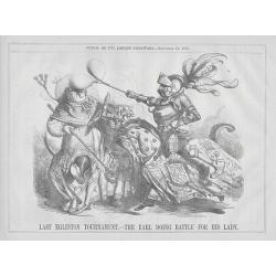 A set of 15 humorous 19th century Punch prints with Irish interest. 