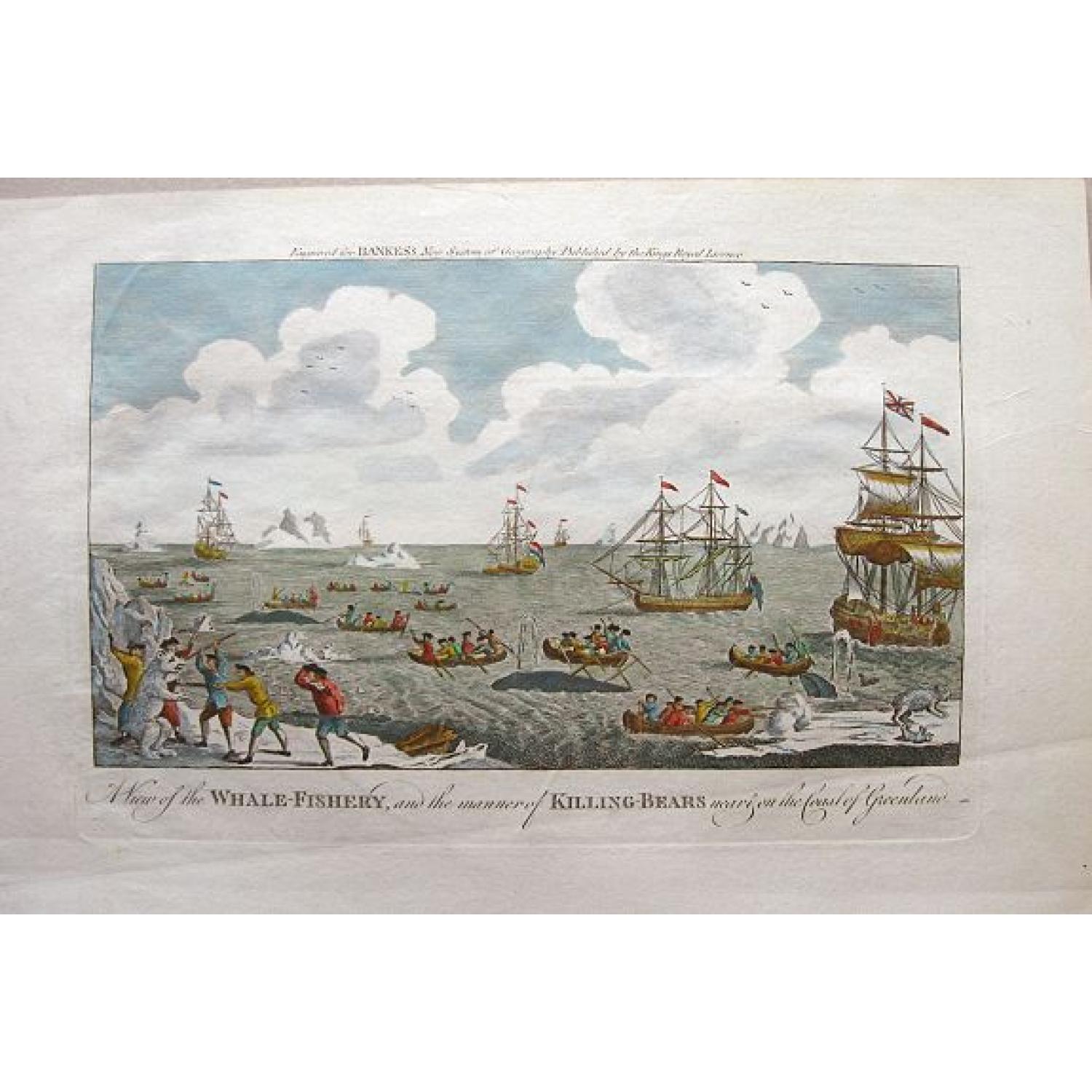 A View of the Whale-Fishery, and the manner of Killing-Bears near and on the Coast of Greenland.