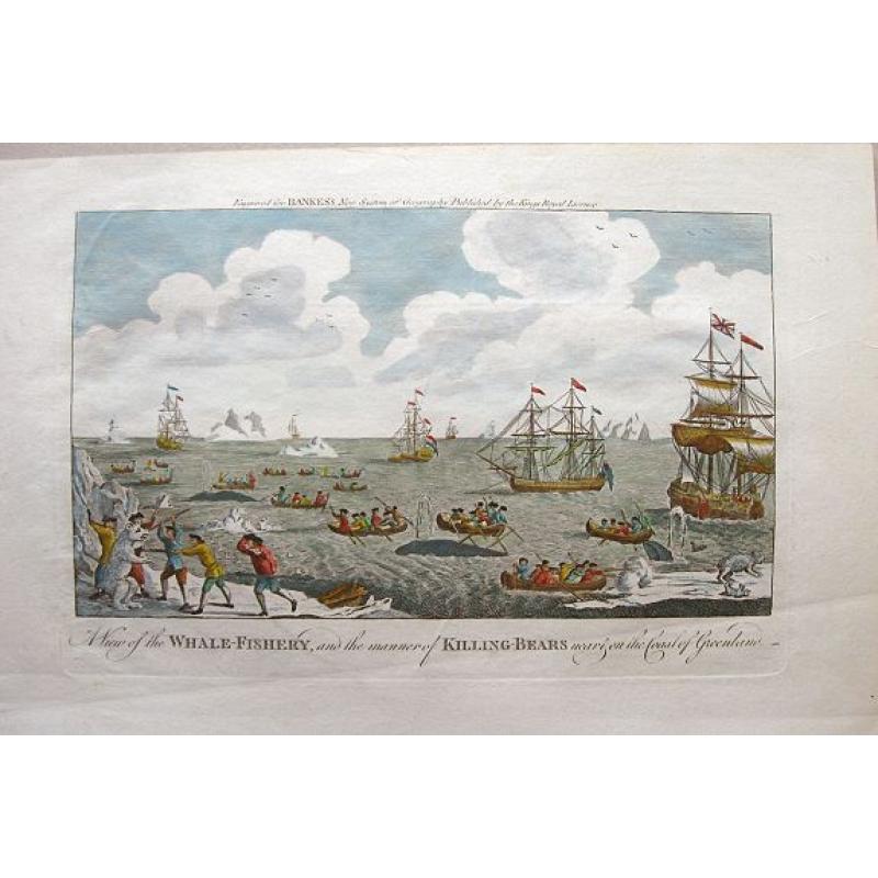 A View of the Whale-Fishery, and the manner of Killing-Bears near and on the Coast of Greenland.