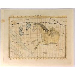 Delphinus, Equuleus and Pegasus.