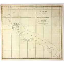 A chart of a track of land in the Southern Pacific Ocean Discovered by Lieut. John Shortland...