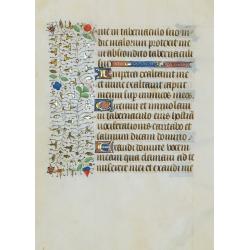 A manuscript leaf from a Book of Hours.