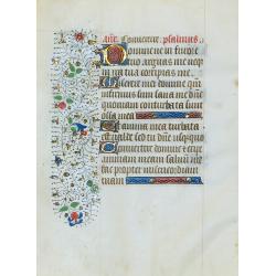 A manuscript leaf from a Book of Hours.