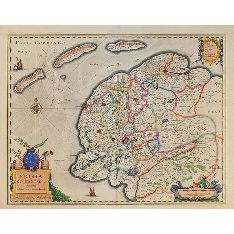 Frisia occidentalis.