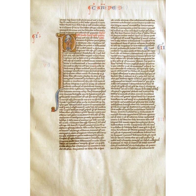 Page from a manuscript Bible.