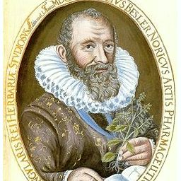 Basilius Besler