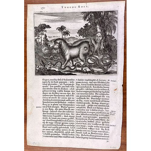 Old map image download for [lot of 8 maps/ prints of the Caribbean] Cuba Insula, inset: Havanna portus; Hispanolia Insula; Insula Iamaica; Ins. S. Ioannis; I.s. Margareta.