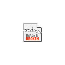 Gallery catalog
