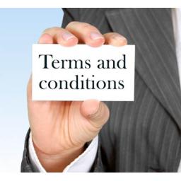 Terms and conditions for buying in the Buy or Bid sale.